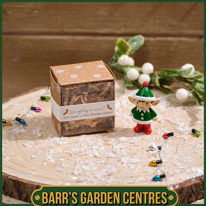 Christmas Tiny World Resin Elf Keepsake With Gift Box