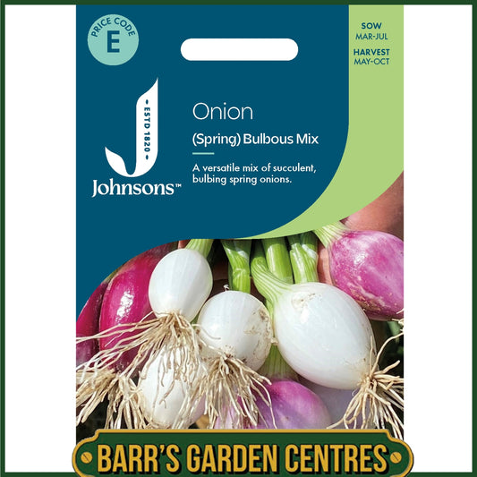 Johnsons -  Onion (spring) Bulbous Mix - 250 Seeds