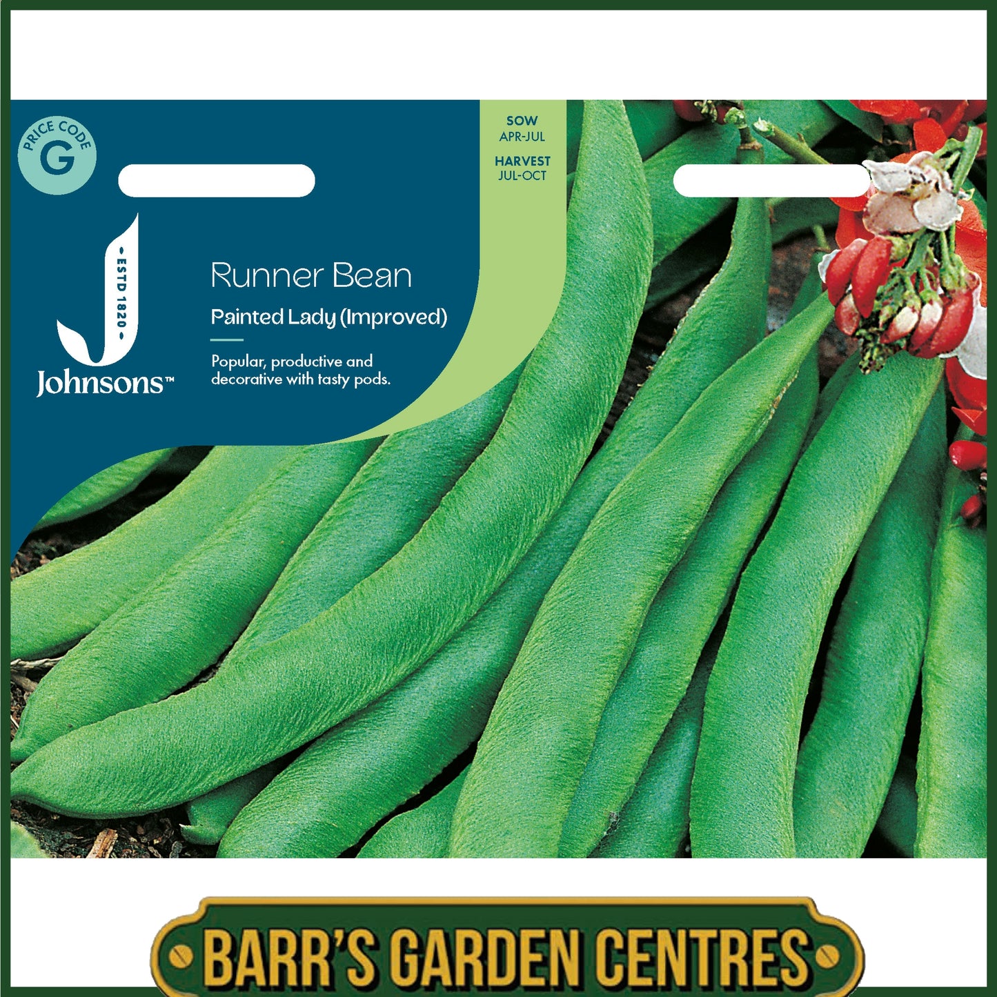 Johnsons - Runner Bean Painted Lady (improved) - 40 Seeds
