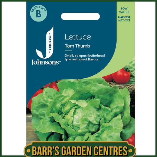 Johnsons - Lettuce Tom Thumb - 1000 Seeds