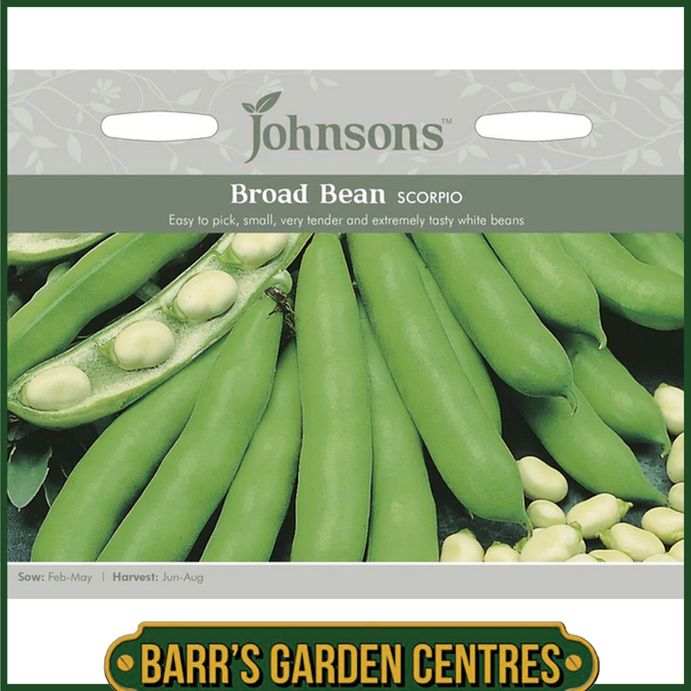 Johnsons - Broad Bean Scorpio - 45 Seeds