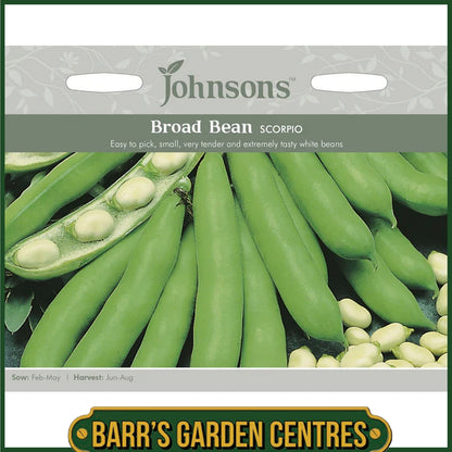 Johnsons - Broad Bean Scorpio - 45 Seeds