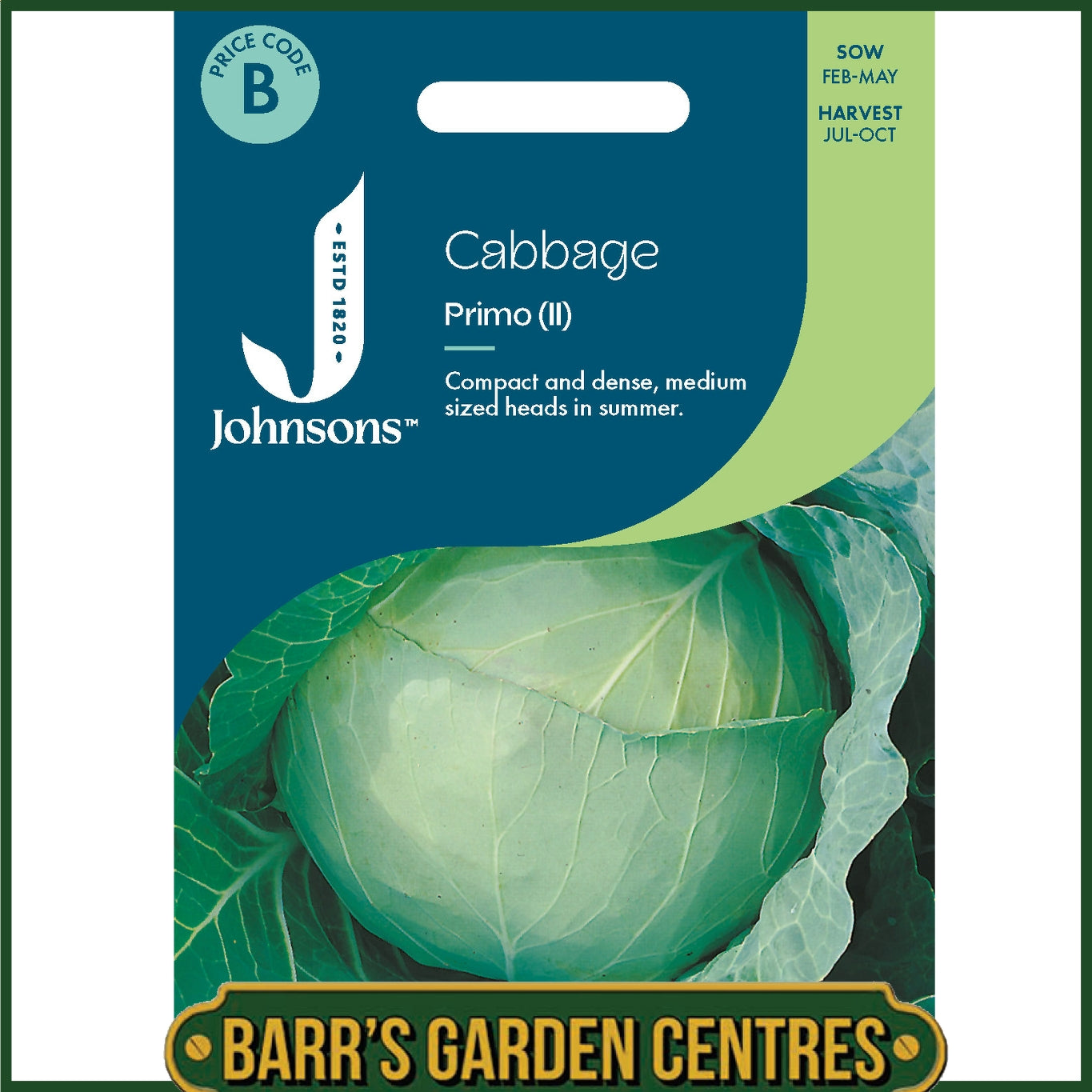 Johnsons - Cabbage Primo (ii) - 350 Seeds