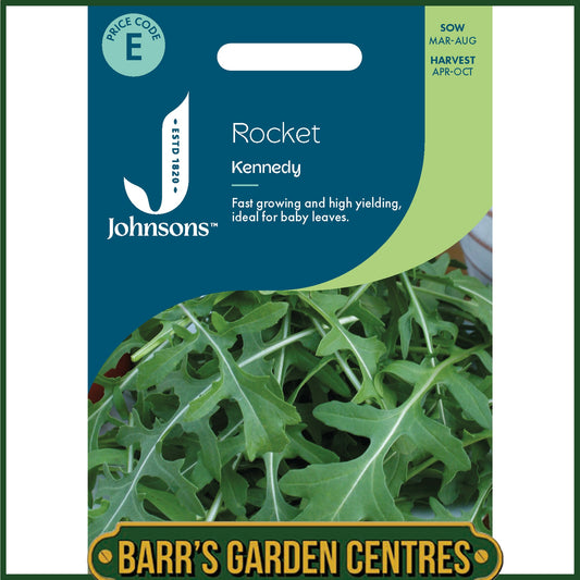 Johnsons - Rocket Kennedy - 500 Seeds