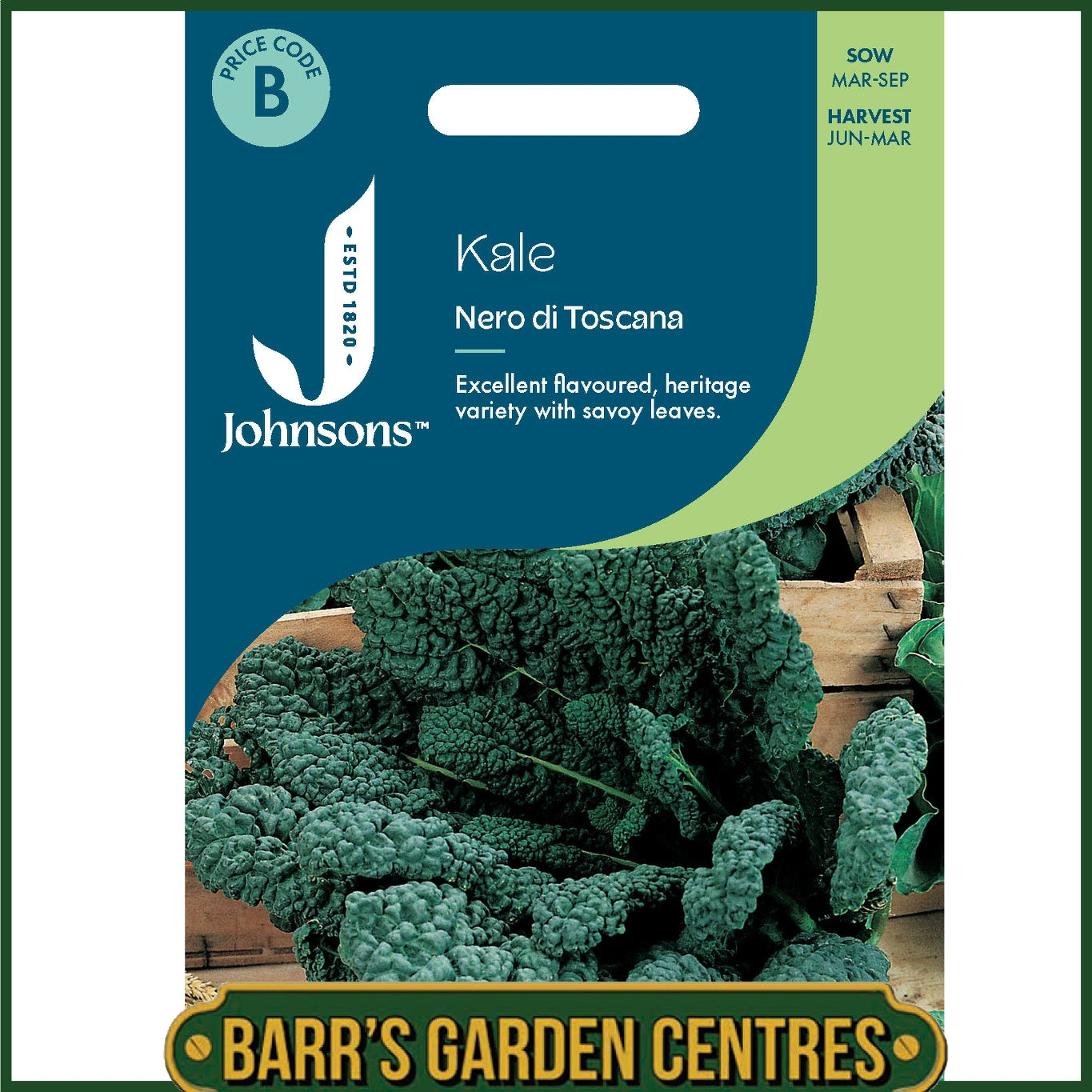 Johnsons - Kale Nero Di Toscana - 300 Seeds