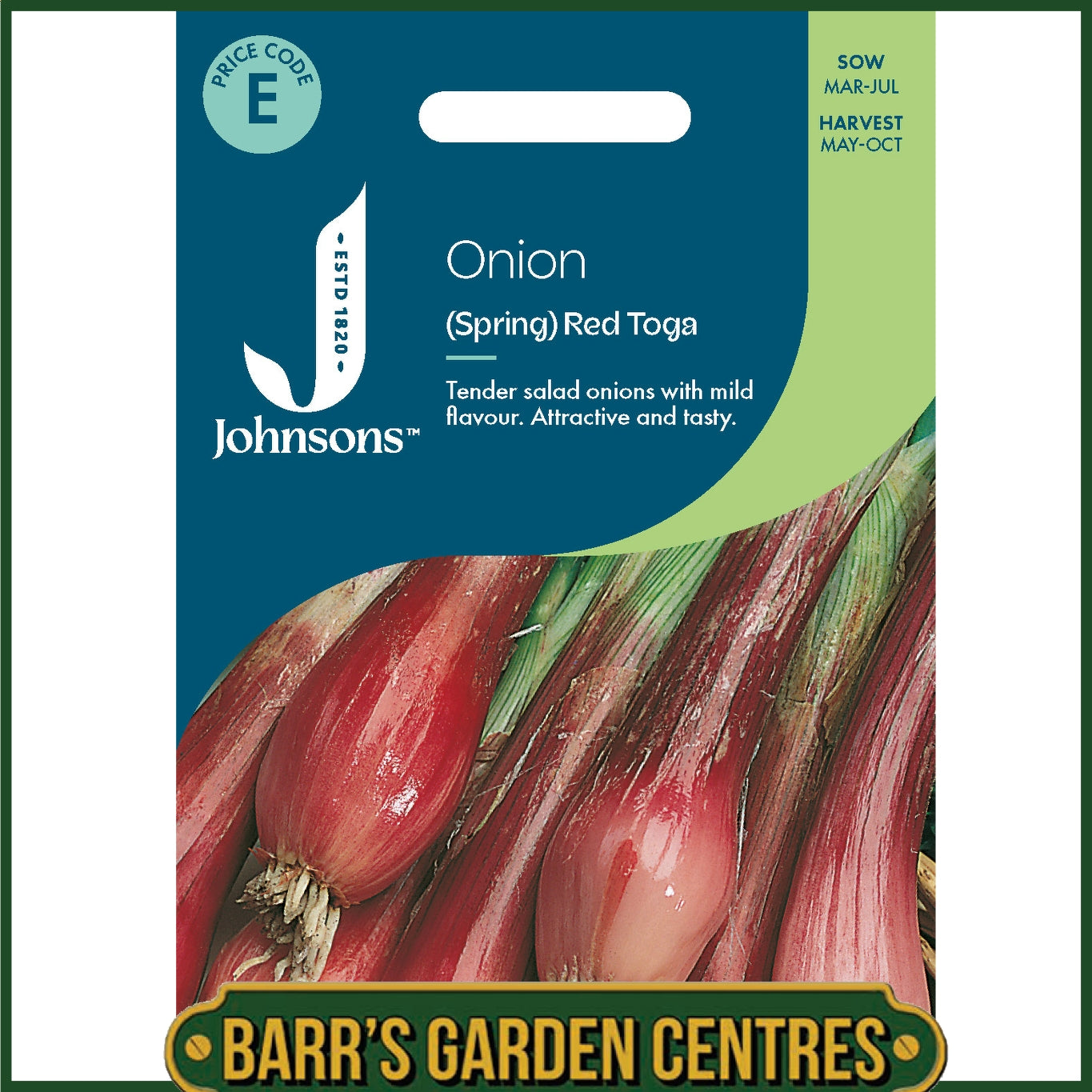 Johnsons -  Onion (spring) Red Toga - 300 Seeds