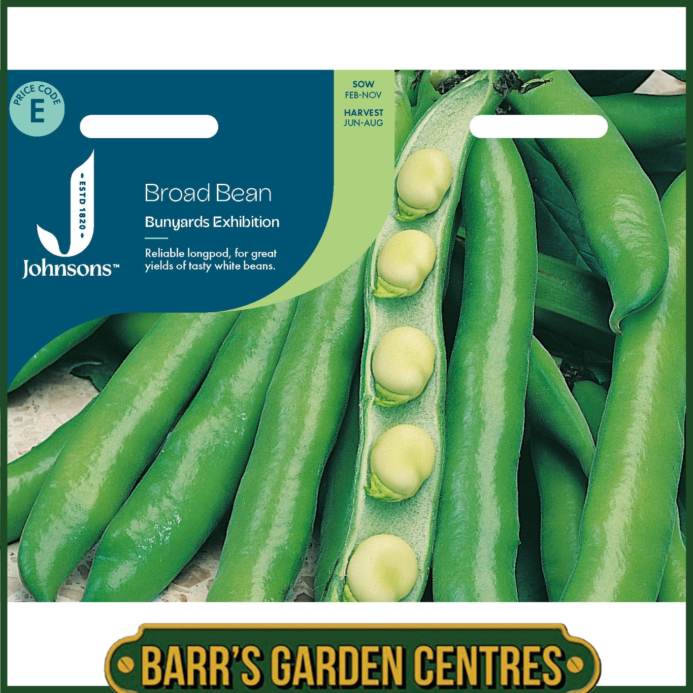 Johnsons - Broad Bean Masterpiece Green Longpod - 45 Seeds