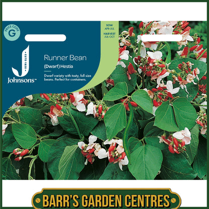 Johnsons - Runner Bean (dwarf) Hestia - 40 Seeds