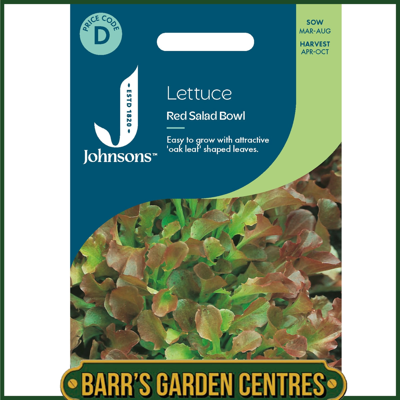 Johnsons - Lettuce Red Salad Bowl - 1000 Seeds