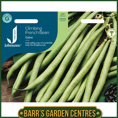 Johnsons - Climbing French Bean Cobra - 50 Seeds