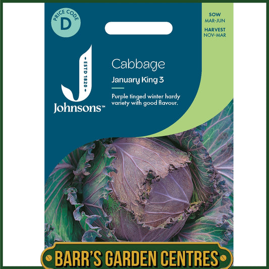 Johnsons - Cabbage January King 3 - 350 Seeds