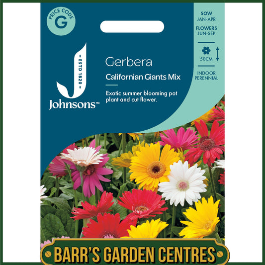 Johnsons - Gerbera Californian Giants Mix - 25 Seeds