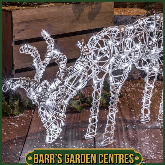 NOMA White Rattan 1m  Grazing Deer
