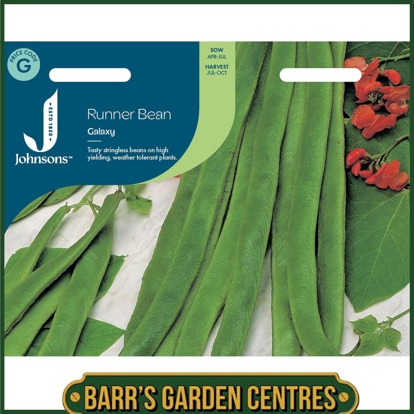 Johnsons - Runner Bean Galaxy - 40 Seeds