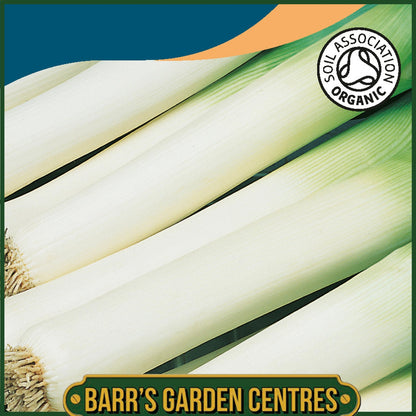 Johnsons - Organic Vegetable - Leek Carentan 3 - 400 Seeds