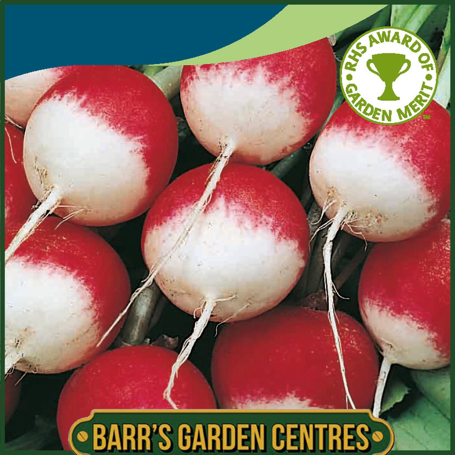 Johnsons - Radish Sparkler 3 - 750 Seeds