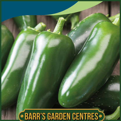 Johnsons - Pepper (hot) Jalapeno - 30 Seeds