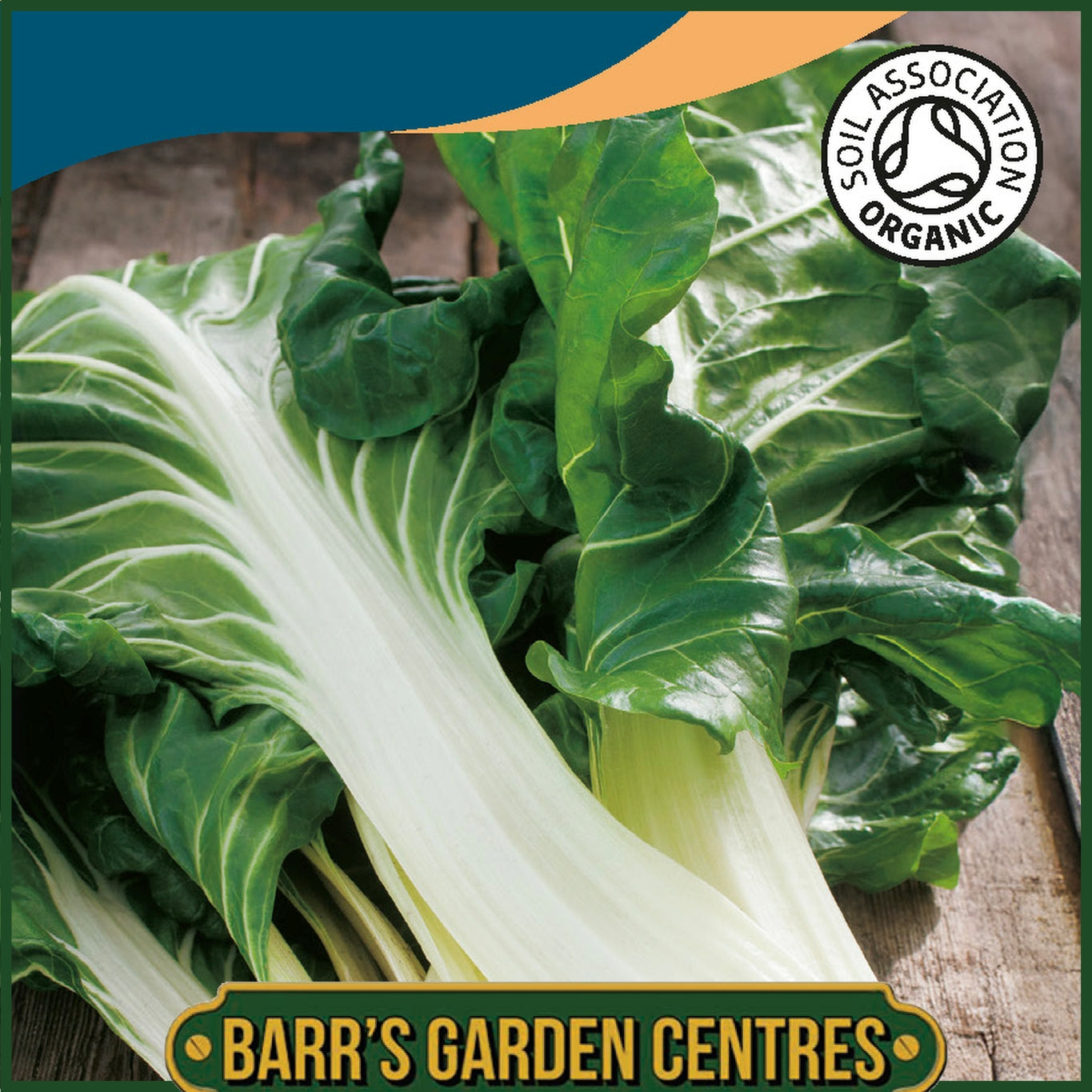 Johnsons - Organic Vegetable - Chard Verde a Costa Argentata - 125 Seeds
