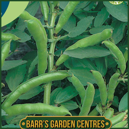 Johnsons - Broad Bean (dwarf) the Sutton - 45 Seeds