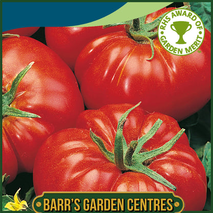 Johnsons - Tomato Marmande - 30 Seeds