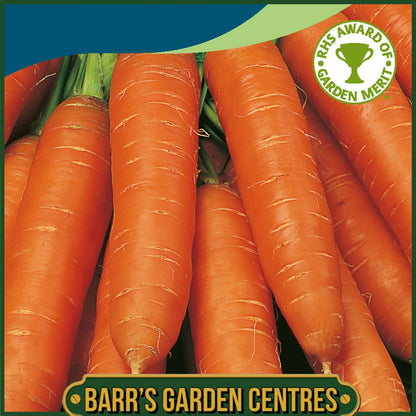 Johnsons - Carrot Flyaway F1 - 400 Seeds