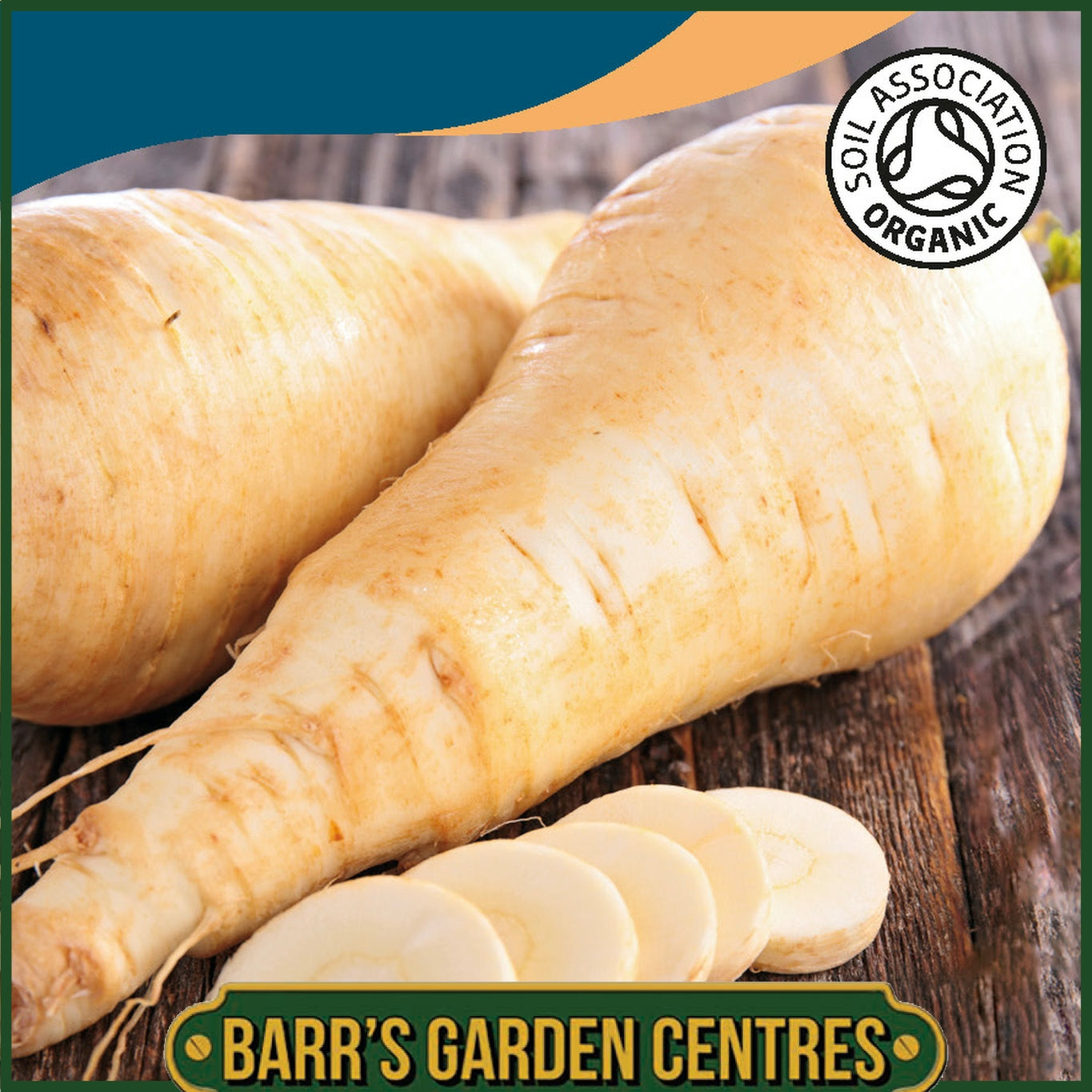 Johnsons - Organic Vegetable - Parsnip Tender & True - 350 Seeds