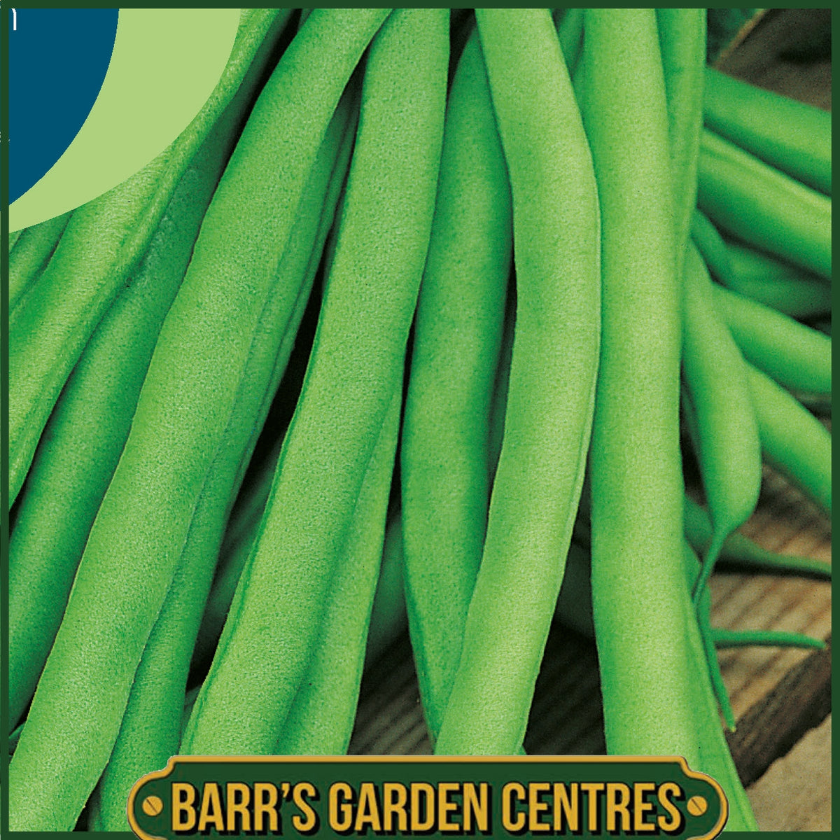 Johnsons - Climbing French Bean Blue Lake - 50 Seeds