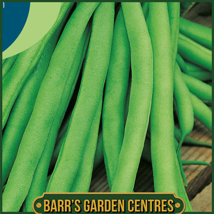 Johnsons - Climbing French Bean Blue Lake - 50 Seeds