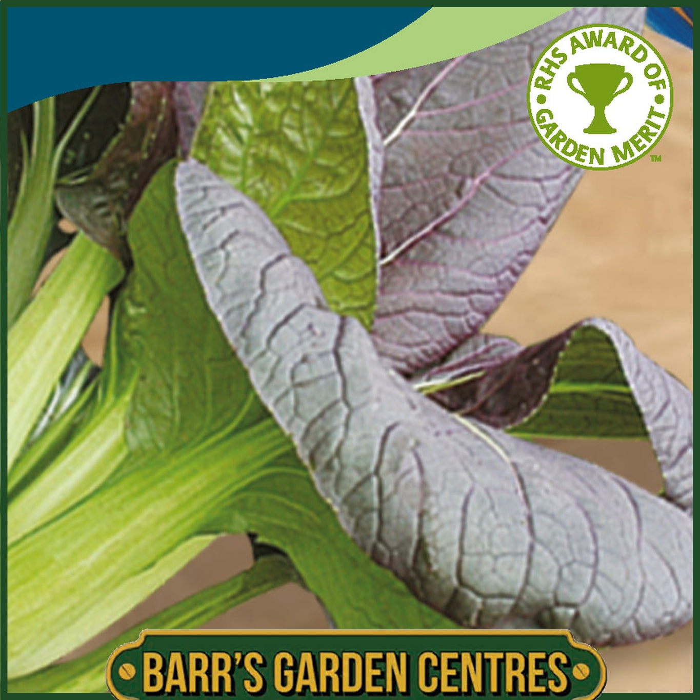 Johnsons - Pak Choi Red Choi F1 - 100 Seeds