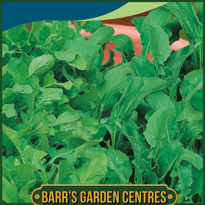 Johnsons - Rocket Mixed - 500 Seeds