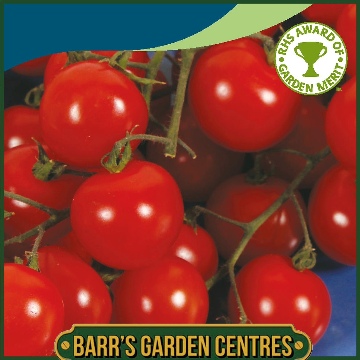 Johnsons - Tomato Sweet Aperitif - 10 Seeds