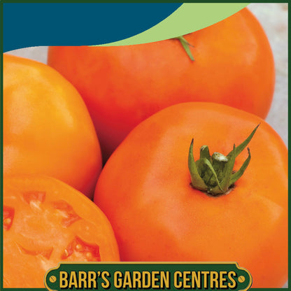 Johnsons - Tomato Orange Slice F1 - 10 Seeds