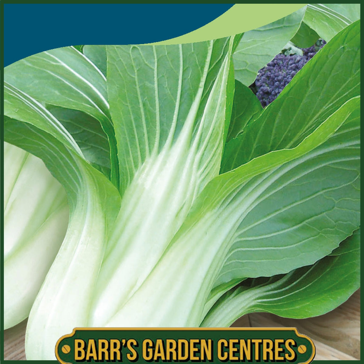 Johnsons - Pak Choi Yuushou F1 - 175 Seeds