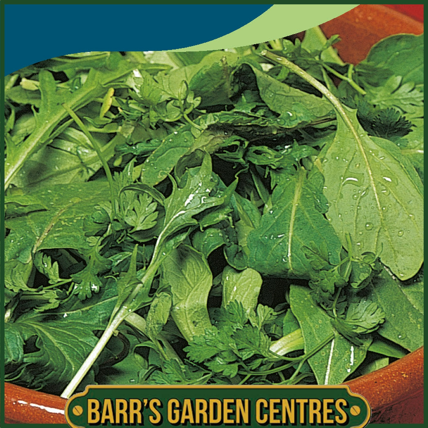 Johnsons - Mesclun Mixed - 500 Seeds