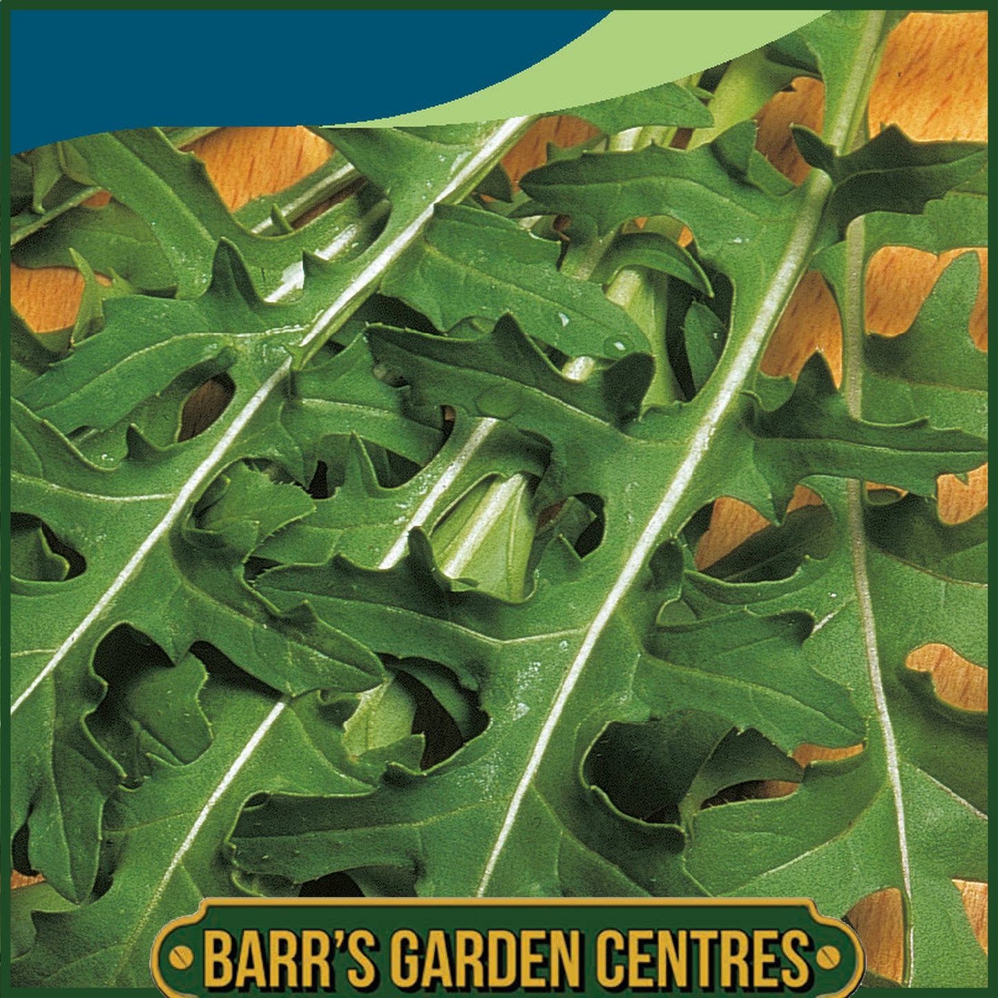 Johnsons - Rocket Runway - 400 Seeds