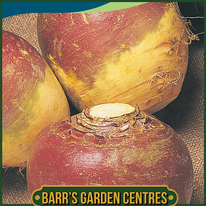 Johnsons - Swede Invitation - 750 Seeds