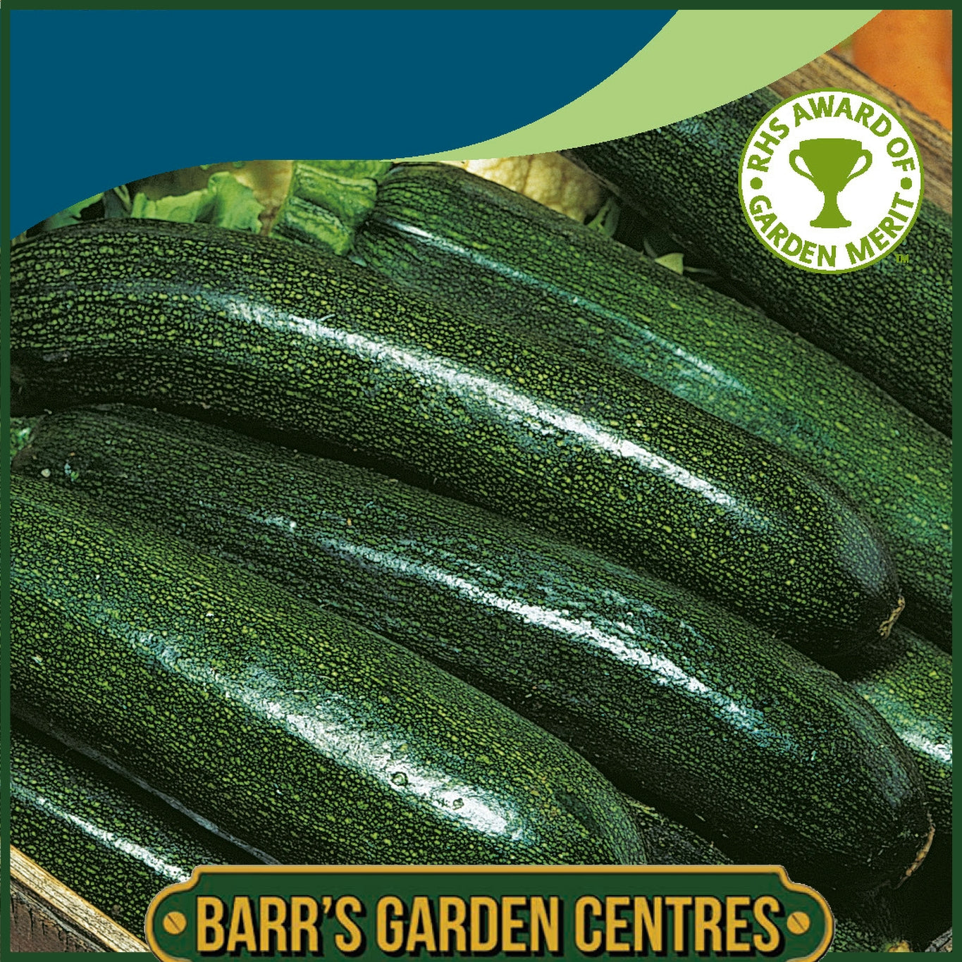 Johnsons - Courgette Astia F1 - 10 Seeds
