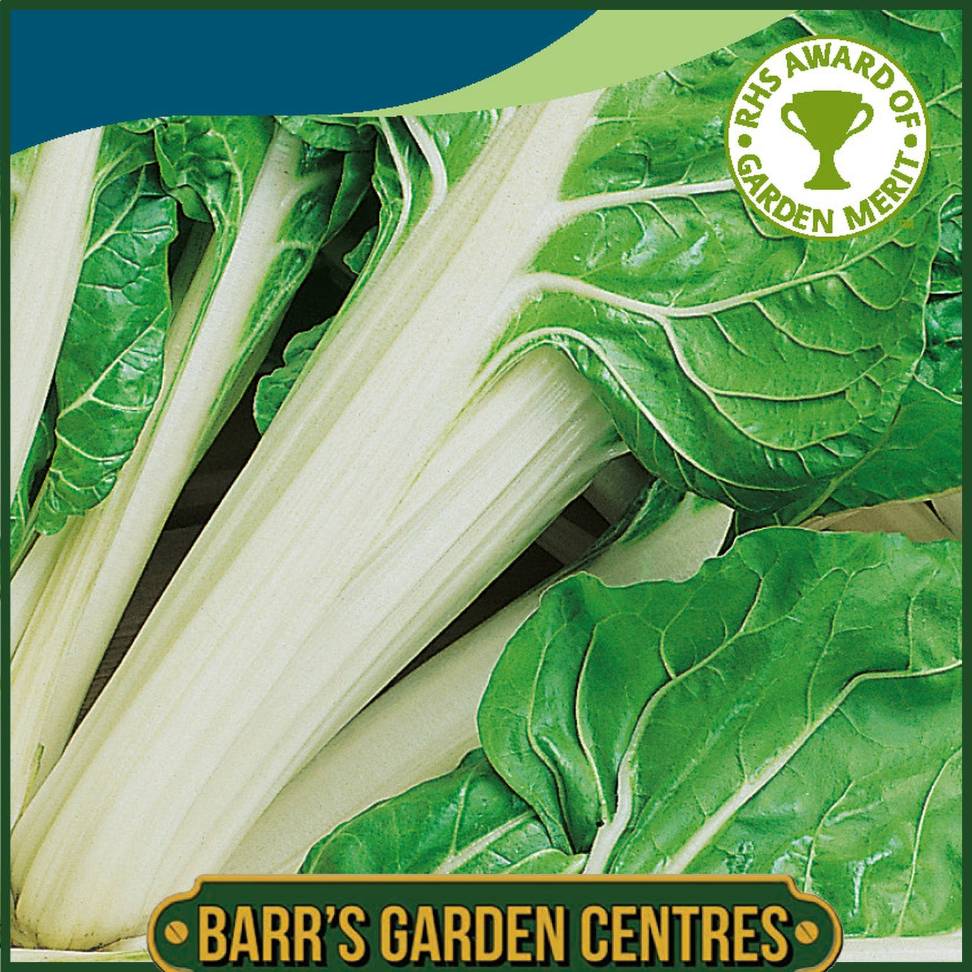 Johnsons -Chard White Silver 2 - 350 Seeds
