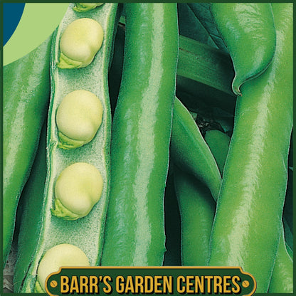 Johnsons - Broad Bean Masterpiece Green Longpod - 45 Seeds