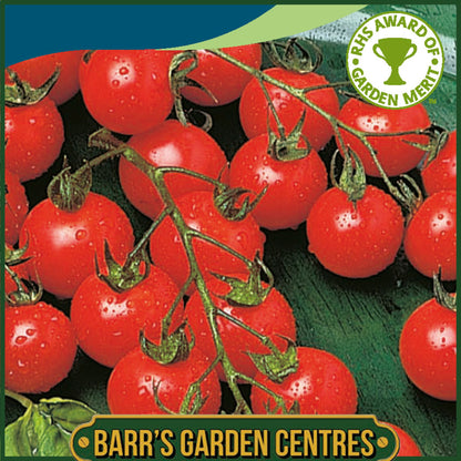 Johnsons - Tomato Sweet Million F1 - 10 Seeds