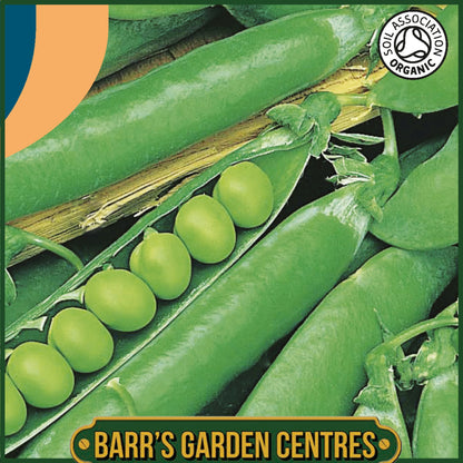 Johnsons - Organic Vegetable - Pea (maincrop) Rondo - 150 Seeds