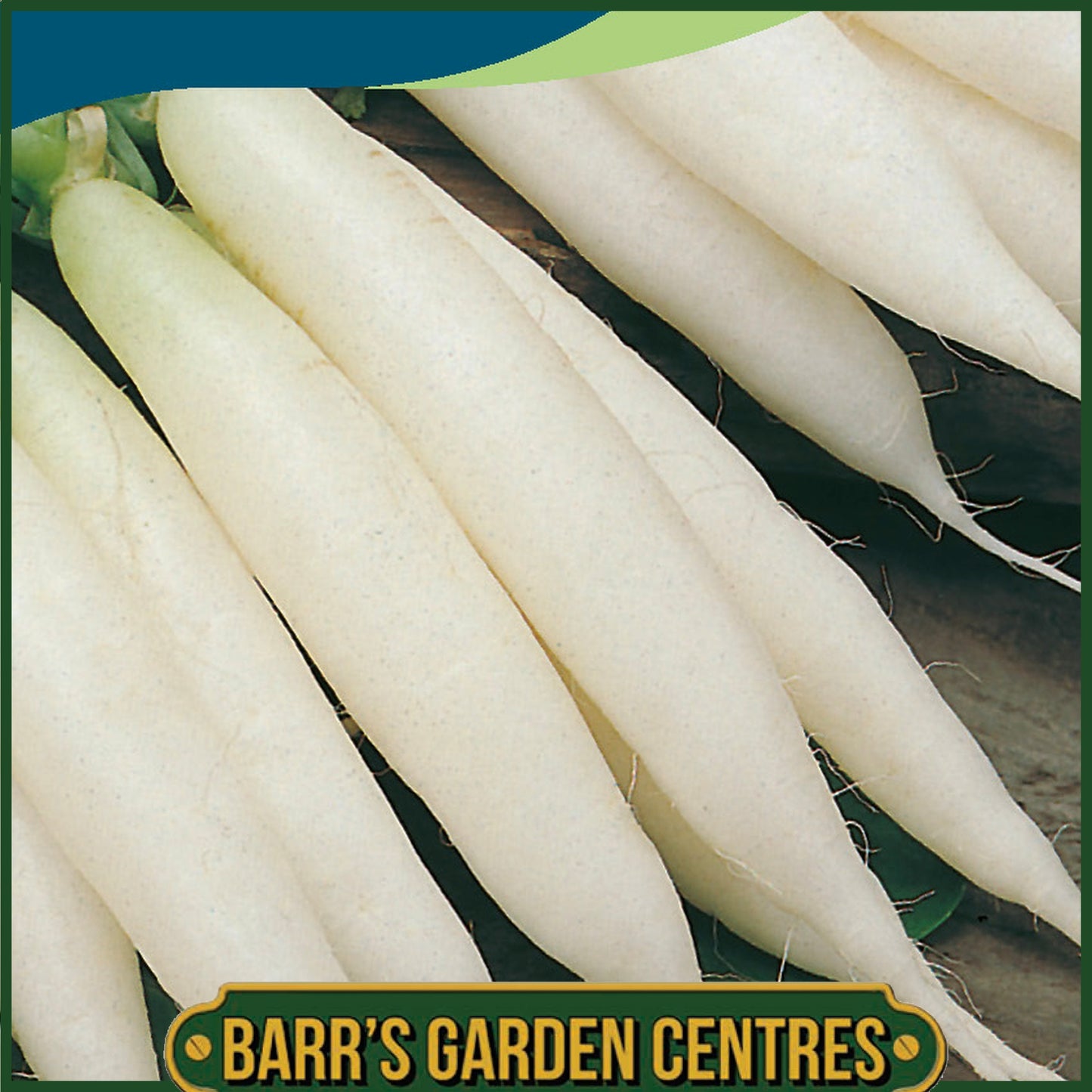 Johnsons - Radish Icicle (long White) - 500 Seeds