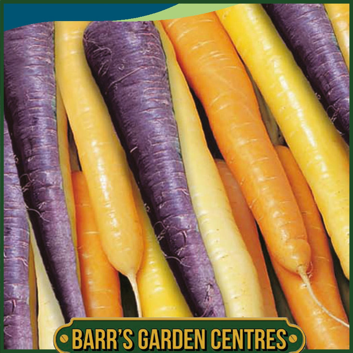 Johnsons - Carrot Harlequin F1 - 500 Seeds