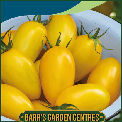 Johnsons - Tomato Bliss F1 - 10 Seeds