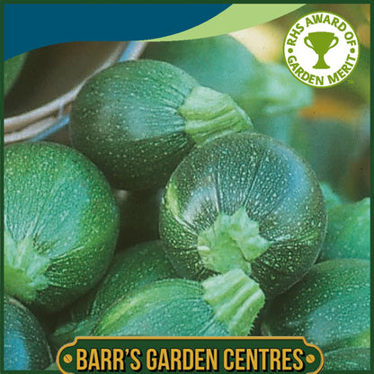 Johnsons - Courgette Eight Ball F1 - 8 Seeds