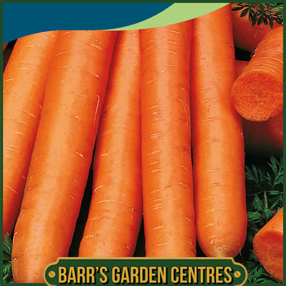 Johnsons - Carrot Nantes 5 - 1500 Seeds