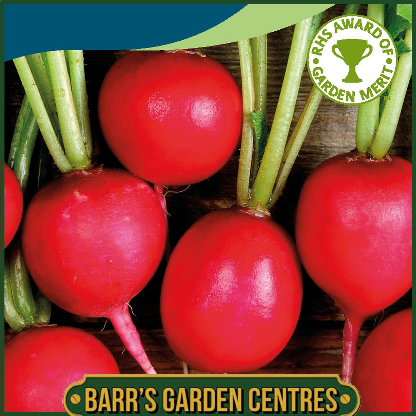 Johnsons - Radish Scarlet Globe - 1000 Seeds