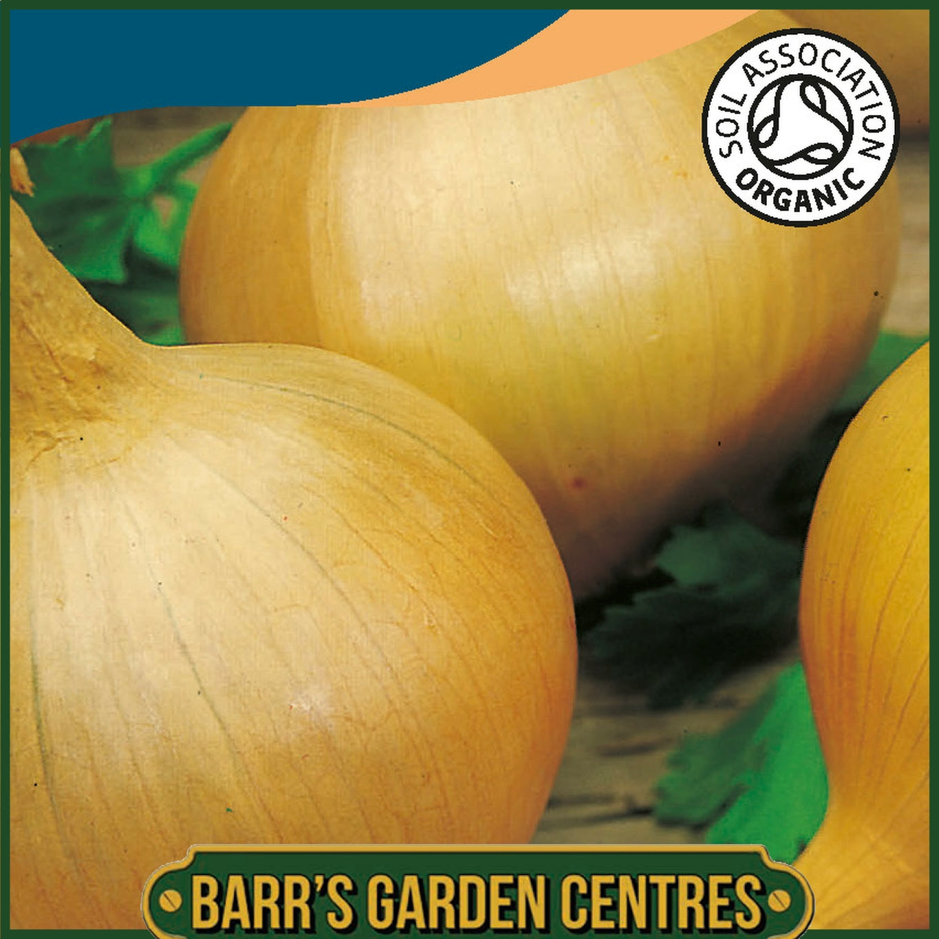 Johnsons - Organic Vegetable - Onion Sturon - 200 Seeds