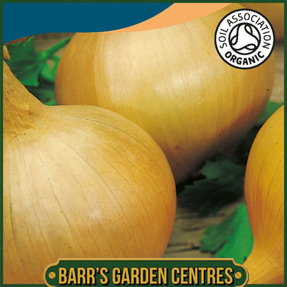 Johnsons - Organic Vegetable - Onion Sturon - 200 Seeds