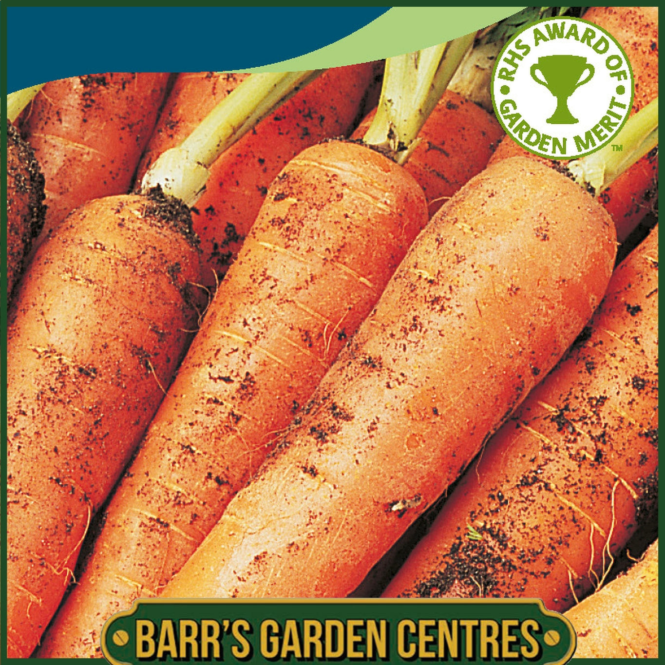 Johnsons - Carrot Resistafly - Tozresis F1 - 350 Seeds
